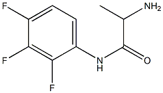 2-amino-N-(2,3,4-trifluorophenyl)propanamide,,结构式