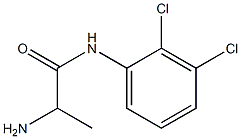 2-amino-N-(2,3-dichlorophenyl)propanamide