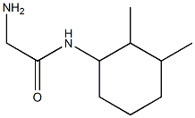 2-amino-N-(2,3-dimethylcyclohexyl)acetamide Struktur