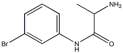 2-amino-N-(3-bromophenyl)propanamide Structure