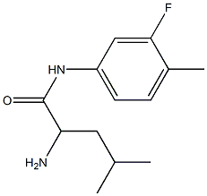 2-amino-N-(3-fluoro-4-methylphenyl)-4-methylpentanamide|