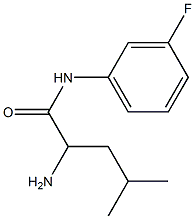 2-amino-N-(3-fluorophenyl)-4-methylpentanamide|