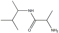 2-amino-N-(3-methylbutan-2-yl)propanamide|