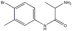 2-amino-N-(4-bromo-3-methylphenyl)propanamide Structure