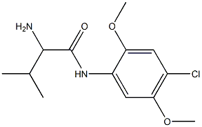 2-amino-N-(4-chloro-2,5-dimethoxyphenyl)-3-methylbutanamide Struktur