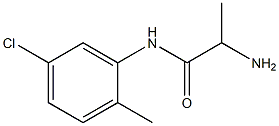 2-amino-N-(5-chloro-2-methylphenyl)propanamide Struktur