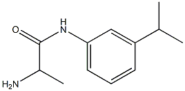 2-amino-N-[3-(propan-2-yl)phenyl]propanamide|