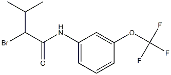 2-bromo-3-methyl-N-[3-(trifluoromethoxy)phenyl]butanamide Struktur