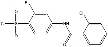 2-bromo-4-[(2-chlorobenzene)amido]benzene-1-sulfonyl chloride Struktur