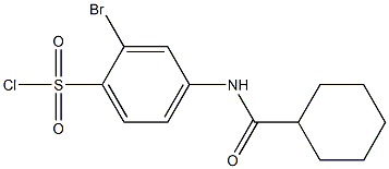 2-bromo-4-cyclohexaneamidobenzene-1-sulfonyl chloride,,结构式