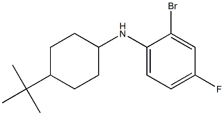  2-bromo-N-(4-tert-butylcyclohexyl)-4-fluoroaniline