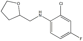 2-chloro-4-fluoro-N-(oxolan-2-ylmethyl)aniline