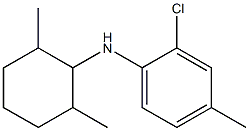 2-chloro-N-(2,6-dimethylcyclohexyl)-4-methylaniline Structure