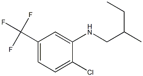 2-chloro-N-(2-methylbutyl)-5-(trifluoromethyl)aniline,,结构式