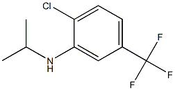 2-chloro-N-(propan-2-yl)-5-(trifluoromethyl)aniline Struktur