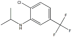 2-chloro-N-(propan-2-yl)-5-(trifluoromethyl)aniline|