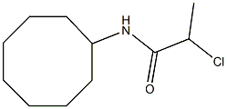 2-chloro-N-cyclooctylpropanamide,,结构式