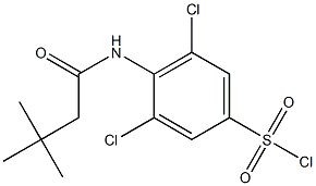 3,5-dichloro-4-(3,3-dimethylbutanamido)benzene-1-sulfonyl chloride Structure