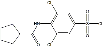 3,5-dichloro-4-cyclopentaneamidobenzene-1-sulfonyl chloride 化学構造式