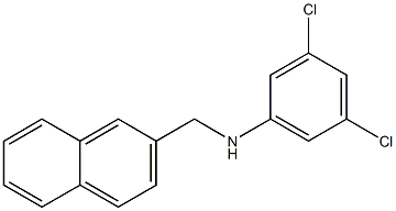 3,5-dichloro-N-(naphthalen-2-ylmethyl)aniline Struktur