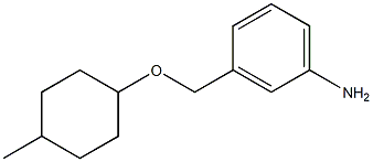  3-{[(4-methylcyclohexyl)oxy]methyl}aniline