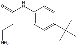 3-amino-N-(4-tert-butylphenyl)propanamide 化学構造式