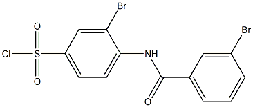 3-bromo-4-[(3-bromobenzene)amido]benzene-1-sulfonyl chloride,,结构式