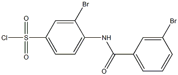 3-bromo-4-[(3-bromobenzene)amido]benzene-1-sulfonyl chloride