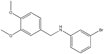3-bromo-N-[(3,4-dimethoxyphenyl)methyl]aniline