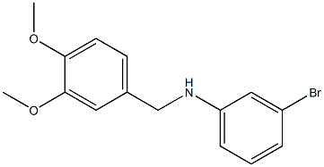  3-bromo-N-[(3,4-dimethoxyphenyl)methyl]aniline