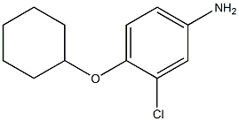 3-chloro-4-(cyclohexyloxy)aniline,,结构式