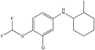 3-chloro-4-(difluoromethoxy)-N-(2-methylcyclohexyl)aniline,,结构式