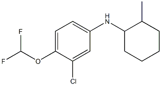 3-chloro-4-(difluoromethoxy)-N-(2-methylcyclohexyl)aniline