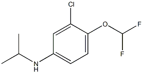 3-chloro-4-(difluoromethoxy)-N-(propan-2-yl)aniline 化学構造式