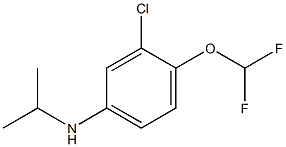 3-chloro-4-(difluoromethoxy)-N-(propan-2-yl)aniline Structure