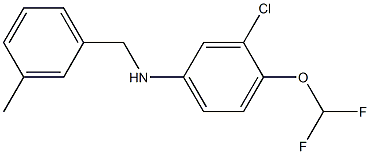 3-chloro-4-(difluoromethoxy)-N-[(3-methylphenyl)methyl]aniline,,结构式