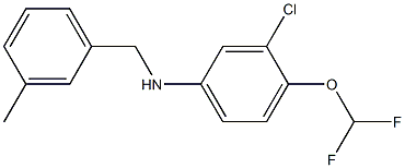 3-chloro-4-(difluoromethoxy)-N-[(3-methylphenyl)methyl]aniline Struktur