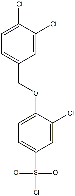 3-chloro-4-[(3,4-dichlorophenyl)methoxy]benzene-1-sulfonyl chloride 结构式