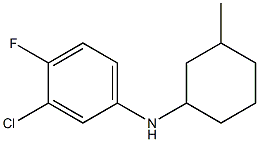 3-chloro-4-fluoro-N-(3-methylcyclohexyl)aniline Structure