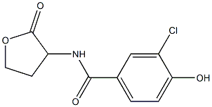 3-chloro-4-hydroxy-N-(2-oxooxolan-3-yl)benzamide 化学構造式