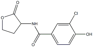  3-chloro-4-hydroxy-N-(2-oxooxolan-3-yl)benzamide