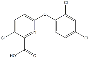 3-chloro-6-(2,4-dichlorophenoxy)pyridine-2-carboxylic acid Struktur