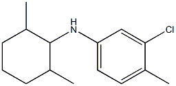 3-chloro-N-(2,6-dimethylcyclohexyl)-4-methylaniline,,结构式