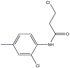 3-chloro-N-(2-chloro-4-methylphenyl)propanamide 结构式
