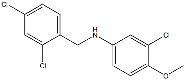 3-chloro-N-[(2,4-dichlorophenyl)methyl]-4-methoxyaniline 结构式