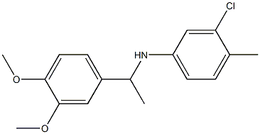 3-chloro-N-[1-(3,4-dimethoxyphenyl)ethyl]-4-methylaniline,,结构式