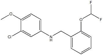 3-chloro-N-{[2-(difluoromethoxy)phenyl]methyl}-4-methoxyaniline,,结构式