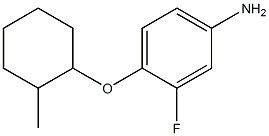 3-fluoro-4-[(2-methylcyclohexyl)oxy]aniline Struktur