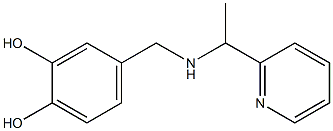  4-({[1-(pyridin-2-yl)ethyl]amino}methyl)benzene-1,2-diol