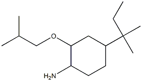 4-(2-methylbutan-2-yl)-2-(2-methylpropoxy)cyclohexan-1-amine